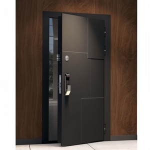 Customized Security Entrance Thermal Insulation Anti-Theft Pivot Doors