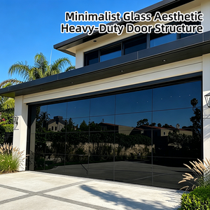 Full View Glass Sectional Garage Door