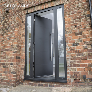 Heavy-Duty Aluminum Alloy Pivot Door Smart Lock