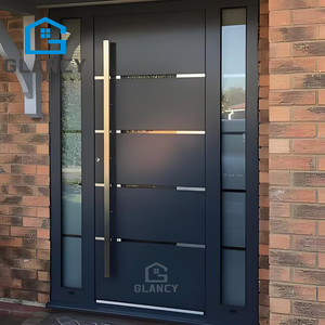 Stainless Pivot Main Entrance Door