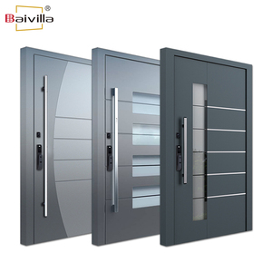Luxury Modern Metal Main Entrance Pivot Door